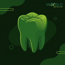 Full Zirconia Monolayer