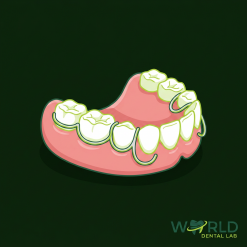 Acrylic Partial Denture - 1 Step (max 7 teeth)