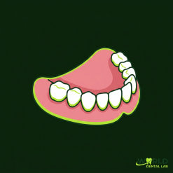 Acrylic Partial Denture - Try In (max 7 teeth)