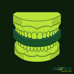 Denture Model