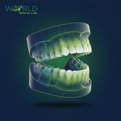 Model Articulator with Die